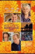 Bienvenue au Marigold Hotel