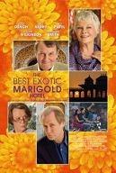 Bienvenue au Marigold Hotel